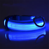 Buy 1 Get 1! - Safety Glowing Dog Collars and Leashes By Pet Lovers Club