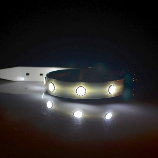 Premium Series - Multi LED Safety Pet Collar Version 1