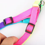 Safety Rainbow Leash and Harness Set